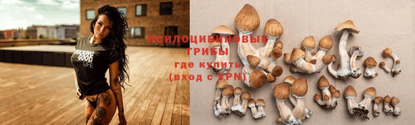 индика Арсеньев