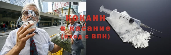 индика Арсеньев