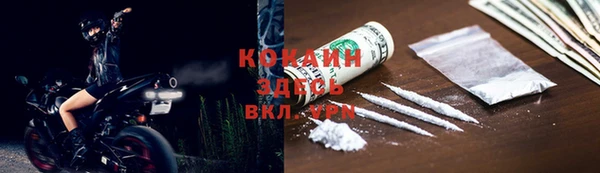 индика Арсеньев