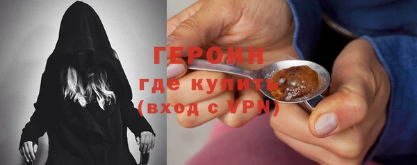 индика Арсеньев