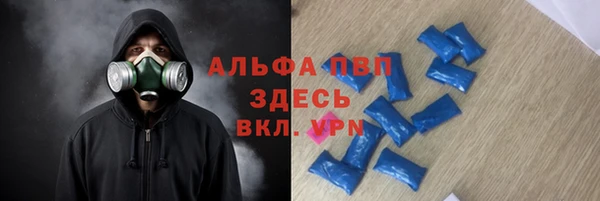 индика Арсеньев