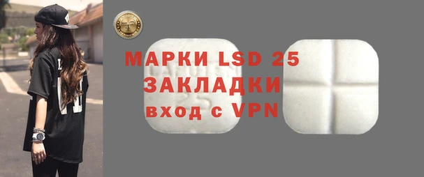 индика Арсеньев