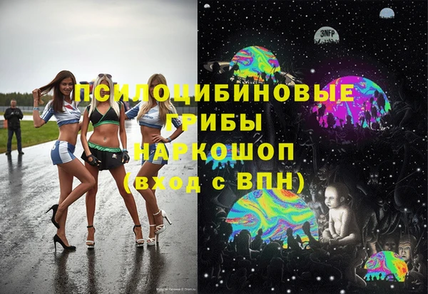 индика Арсеньев