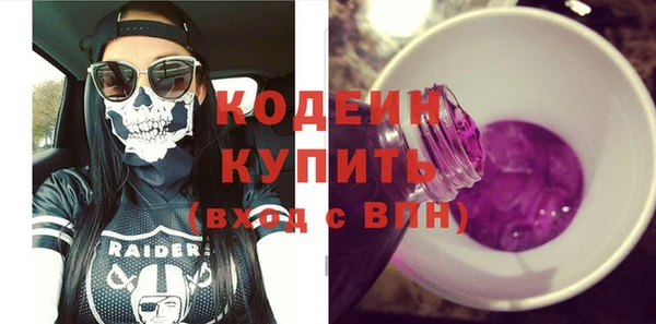 индика Арсеньев