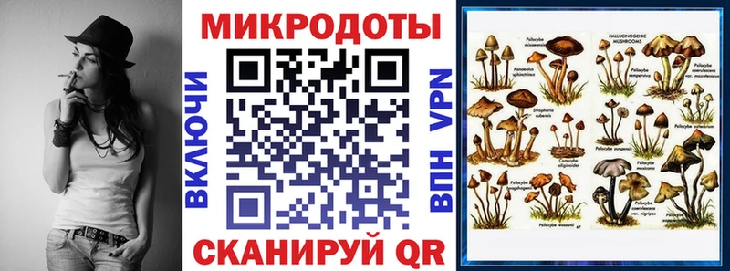kraken ССЫЛКА  это как зайти  Галлюциногенные грибы Cubensis  купить наркотик  Сибай 